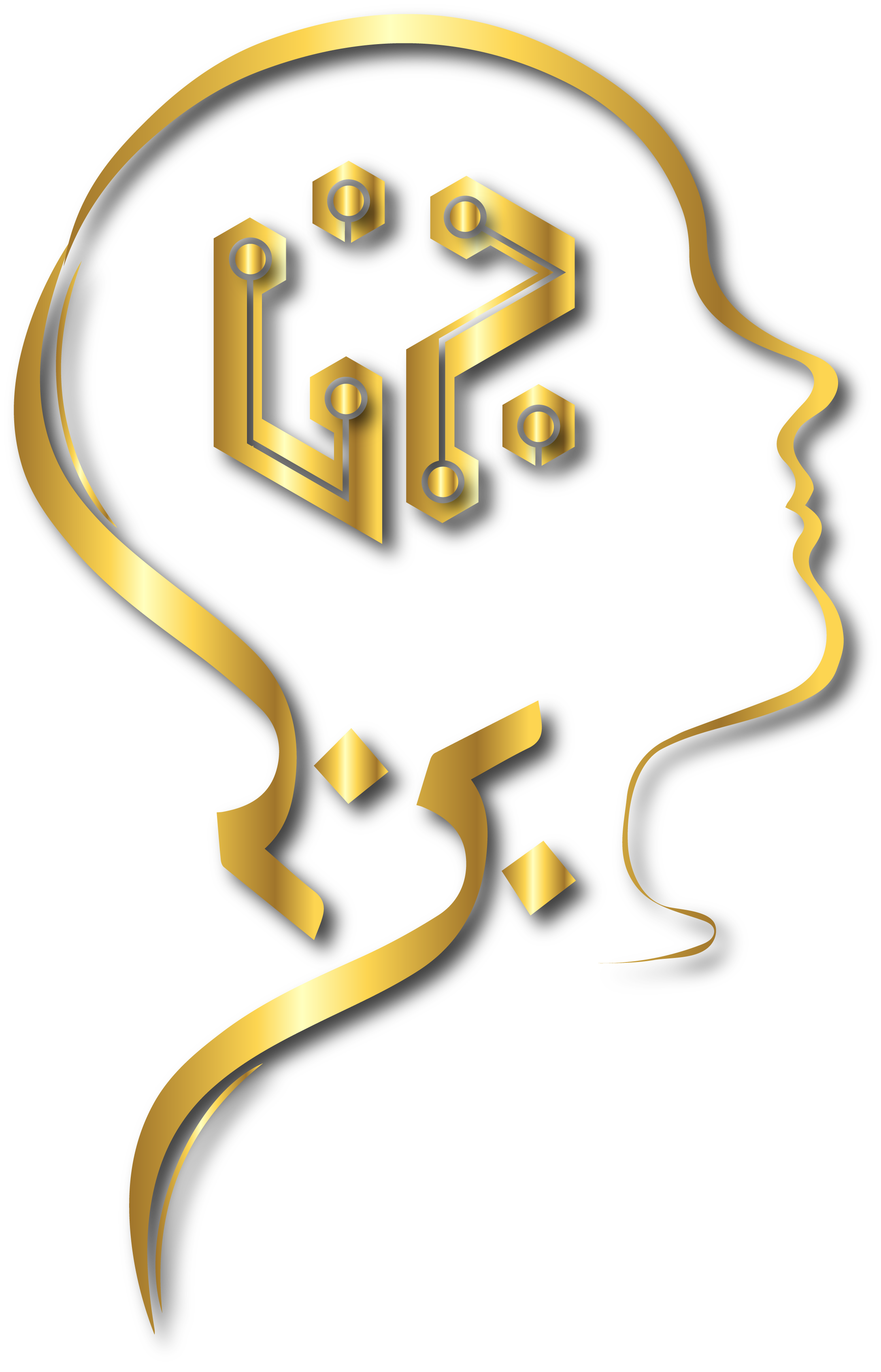 لوگوی آکادمی هوش بُرنا